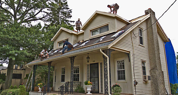 Best Gutter Installation and Roofing  in Jackson, AL