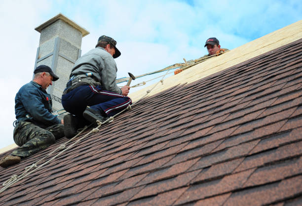Tile Roofing Contractor in Jackson, AL
